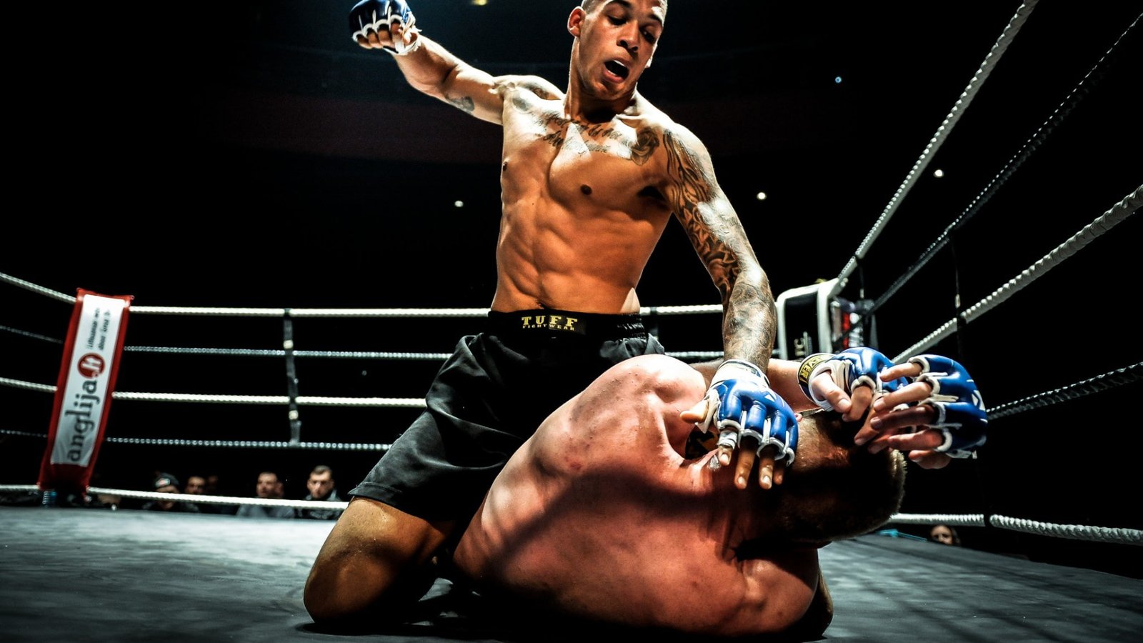 Combat de MMA dans une cage